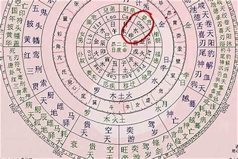 日干是什么|日干算命